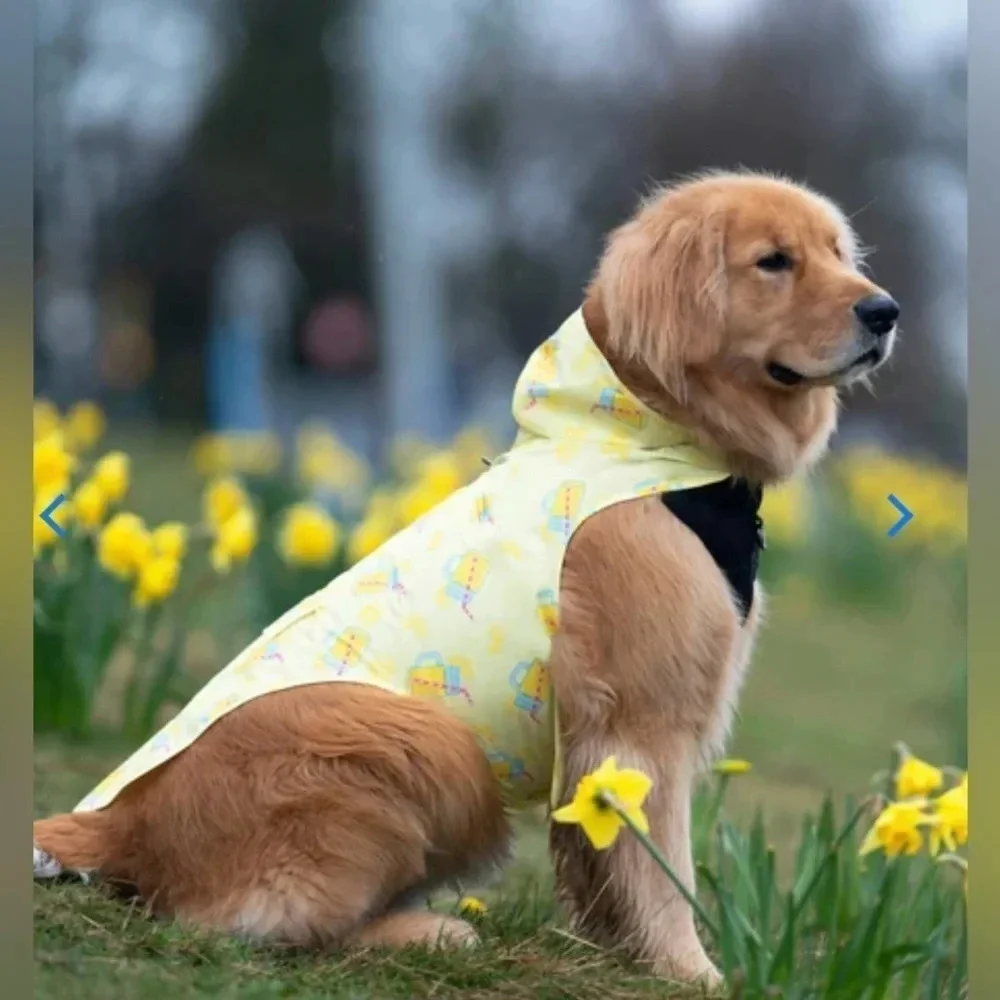 Canada Pooch Poncho Lemonade NWT